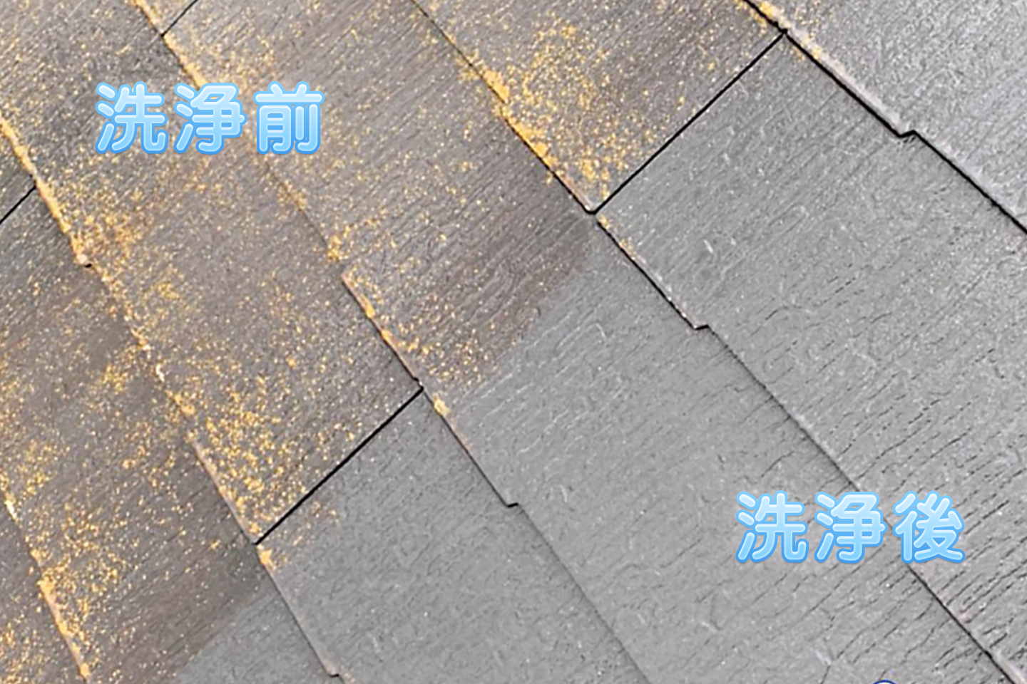 高圧洗浄